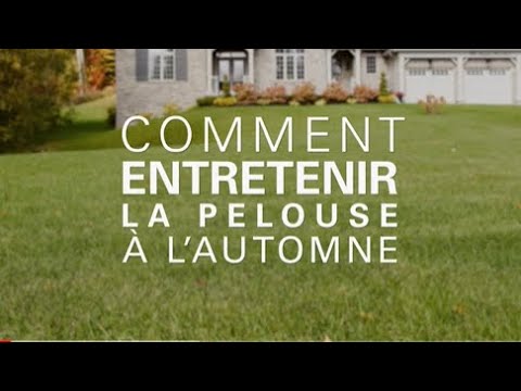 Vidéo: Fall Lawn Care - Comment prendre soin de l'herbe à l'automne