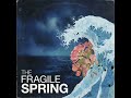 The Fragile Spring (ai generated song)