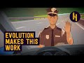 Why cardboard cops work even if you know theyre fake