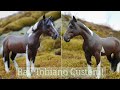 Painting a Bay Tobiano Model Horse ~ Custom Pony!