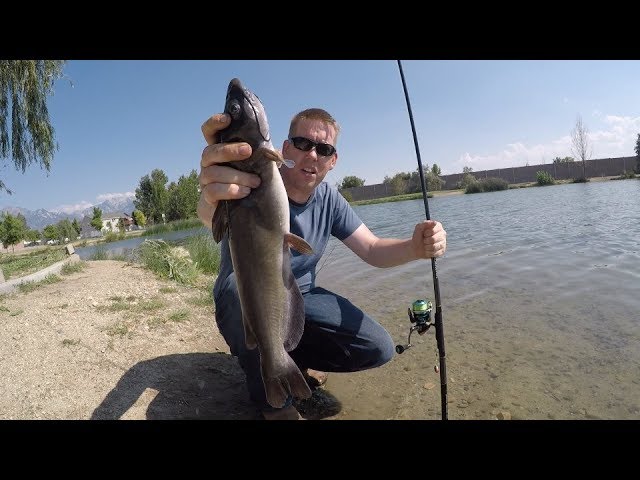 Pond Catfishing Setup 