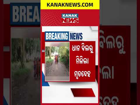 Dhenkanal Elephant Attack | Farmer Killed In Hindol, Herd Near Village