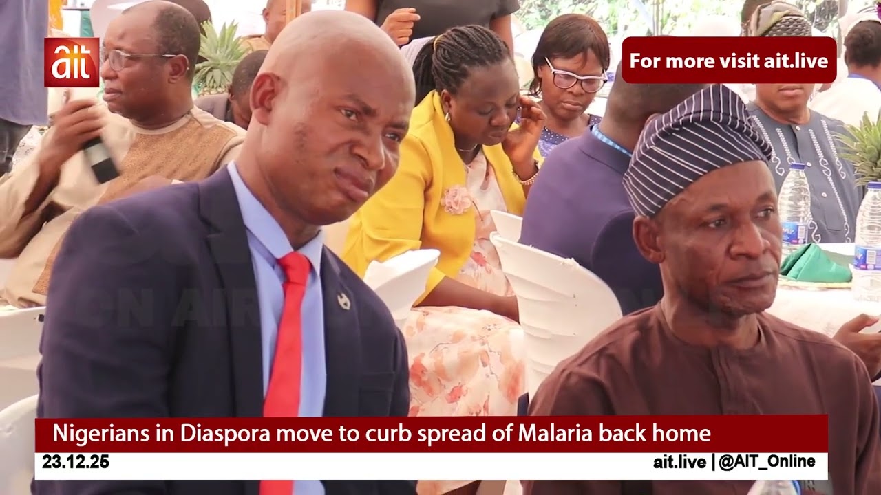 Нигерийцы, проживающие за рубежом, принимают меры по сдерживанию распространения малярии на родине.