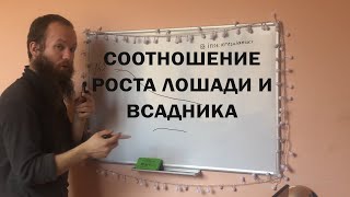 Какого роста взять лошадь? | Подбор под всадника