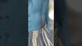I Gave Belly Button Fluff to the Na'vi
