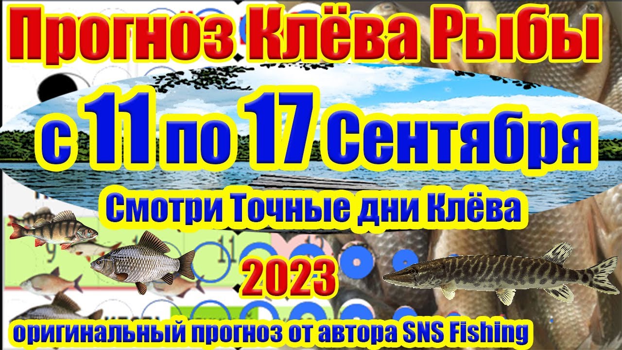 Прогноз клева рыбы на неделю с 11 по 17 Сентября Календарь клева рыбы  Лунный календарь рыбака - YouTube