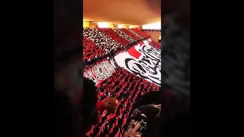 جماهير حسنية أكادير بملعب مراكش ❤❤