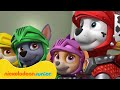 PAW Patrol La Pat Patrouille ENCORE Des Sauvetages Aériens Avec Skye Nickelodeon Jr 