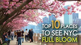 Top 10 Places To See NYC in FULL BLOOM by ALL NYC 18,800 views 3 years ago 11 minutes, 11 seconds