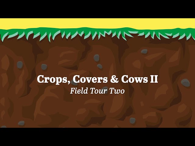 CCC II   Field Tour Two 2021