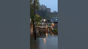 قران كريم حالات واتس🍃 وكلهم آتيه يوم القيامة فردا 🍃  القارئ عبدالرحمن مسعد🍃