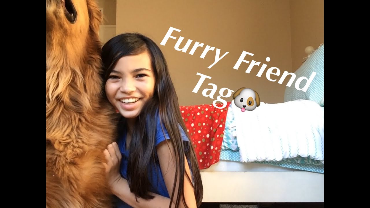 Furry Friend Tag🐶