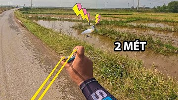 kiếm mồi tốc độ về làm ẩm thực lai rai /  slingshot Tùng vlog-ncs
