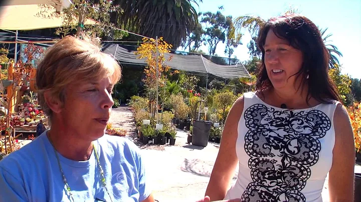Make Yourself at Home in San Diego | Celeste Dunn ...