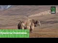 Гид из Бельгии продвигает туризм в Кыргызстане
