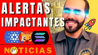 Noticias De Criptomonedas Hoy Solana Precio Cardano Bitcoin - El Salvador Shiba Inu