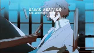 Black Beatles- Rae Sremmurd (sped up/ reverb)