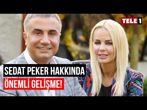 Sedat Peker'in avukatı Barkın, Peker ve eşinin mal varlığına tedbir konulması talebini değerlendirdi