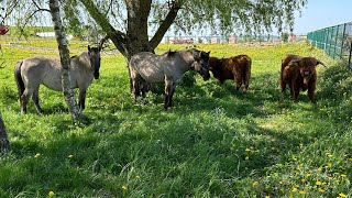 Nasze śmierdzące Hobby kolejna zagadka z pola