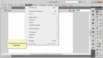 Curso de Flash CS5. 6.4. Agrupar objetos.