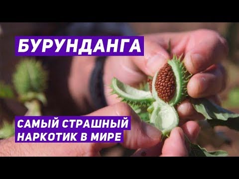 крепкий наркотик крепкий наркотик