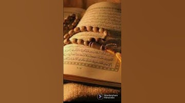 القران سورة الكوثر #قرآن