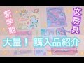 《大量!文房具の購入品紹介》新学期に向けて!Haul❤︎