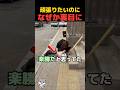 やらかしバイト、たった1日でクビ