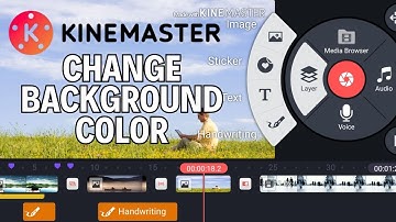 How to change background color on KineMaster 2024?