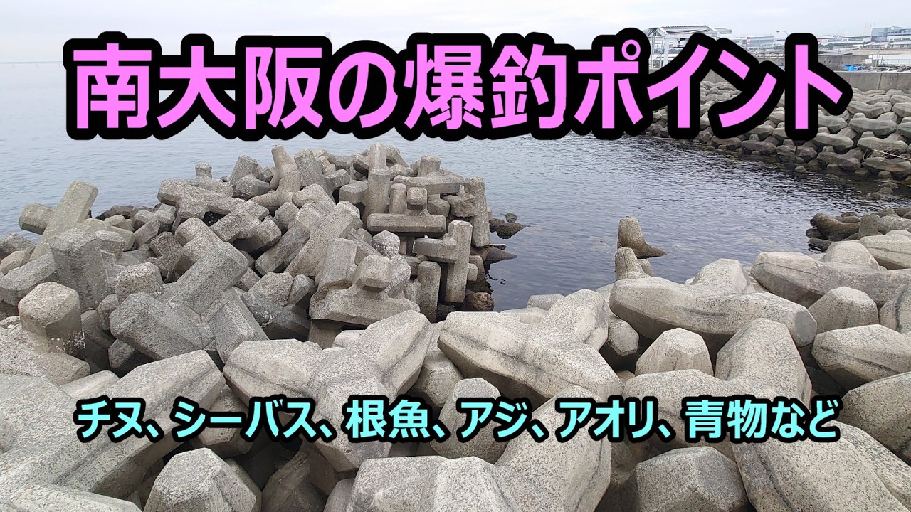 釣りシーズン開幕直前！　南大阪の釣場情報