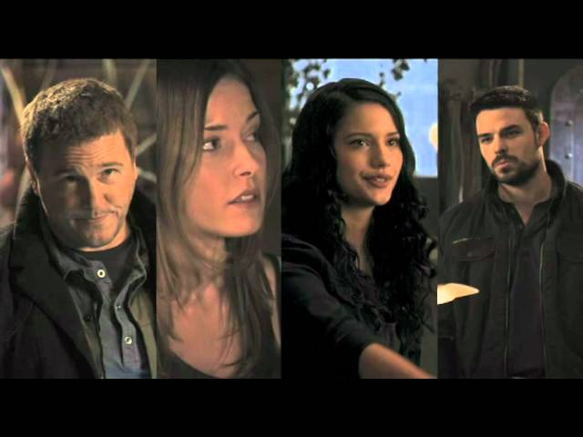 セガールの 沈黙シリーズ 実は大好きなんです 風雅ー風の吹くまま 気の向くまま