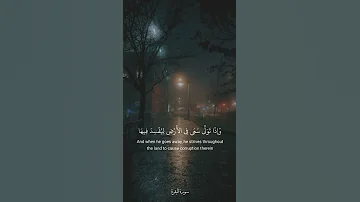 ومن الناس من يعجبك قوله في الحياة الدنيا الآية ٢٠٤ ٢٠٧ سورة البقرة القارئ احمد العجمي 