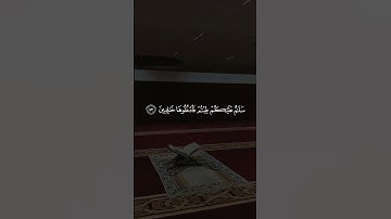 قرآن كريم 📚🥹بصوت خالد الجليل❤️‍🩹 تلاوة_خاشعة 🍂 متابعة 🍂ليك #اكتب_شي_توجر_عليه 🍂🍂🍂