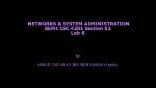 NSA LAB 6 CSC 4201 18/19
