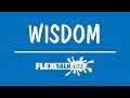 Understanding Wisdom