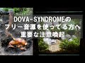 DOVA-SYNDROMEのフリー音源を使っている方へ重要な注意喚起