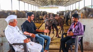 महिना 3 लाख कमवणारा तरुण! 100 मुर्हा म्हशींचा फार्म | Murrah Buffalo Farm Maharashtra | #Story 2022