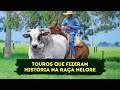 TOUROS QUE FIZERAM HISTÓRIA NA RAÇA NELORE!!