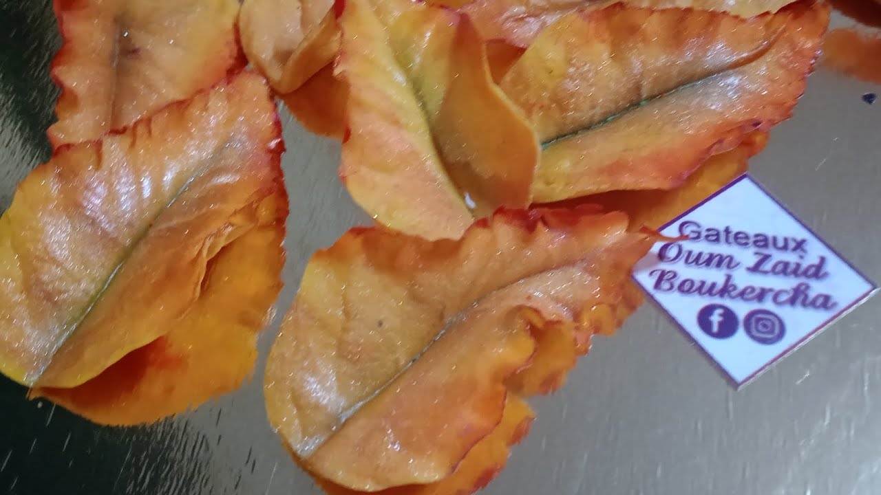 ورقه الخريف روعه فوق حبة القاطو اسهل منها مكانش 👍