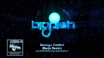 Lazy Rich & Hirshee - "Damage Control ft. Amba Shepherd (Barjo Remix)" [Official Big Fish Stream]