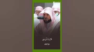 ماهر المعيقلي، سورة الأحقاف #اكسبلور #شاشه_سوداء #explore #quran #حالات_الواتس_اب #قرآن #ادعموني