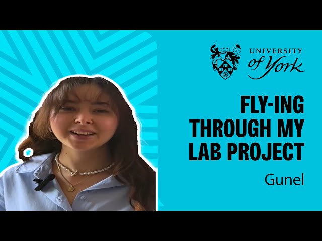 Fly-ing through my lab project