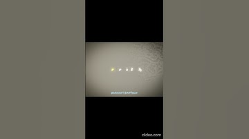 القارئ: محمد صديق المنشاوي |  #القرآن_الكريم #محمد_صديق_المنشاوي #سورة_الحج