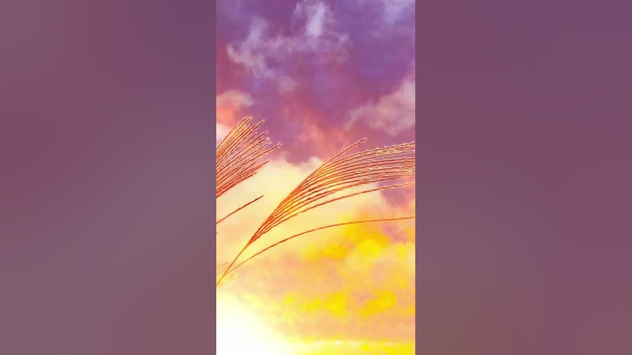 感動 靖国神社が焼却から免れた経緯をセーラー服のjkに知る 本編はコメント欄から Youtube