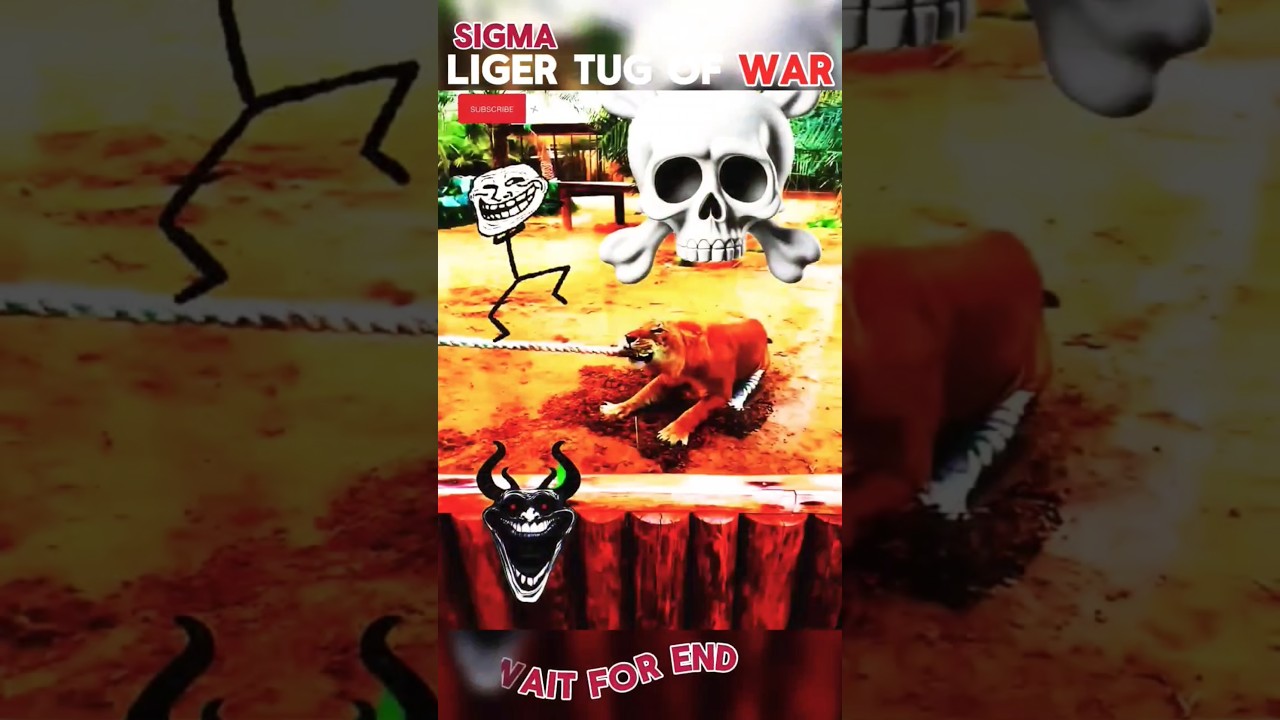 Sigma liger tug of war! Who won? # sigma 