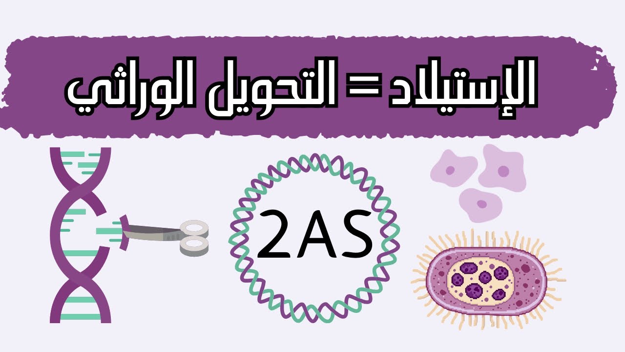  الإستيلاد أو التحويل الوراثي ثانية ثانوي 2ASشرح ممتع😃