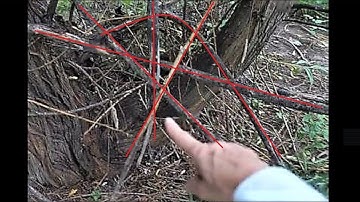 Gifting at Weave area