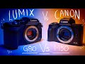Canon M50 Vs Panasonic Lumix G80/85 - Best Budget YouTube Camera