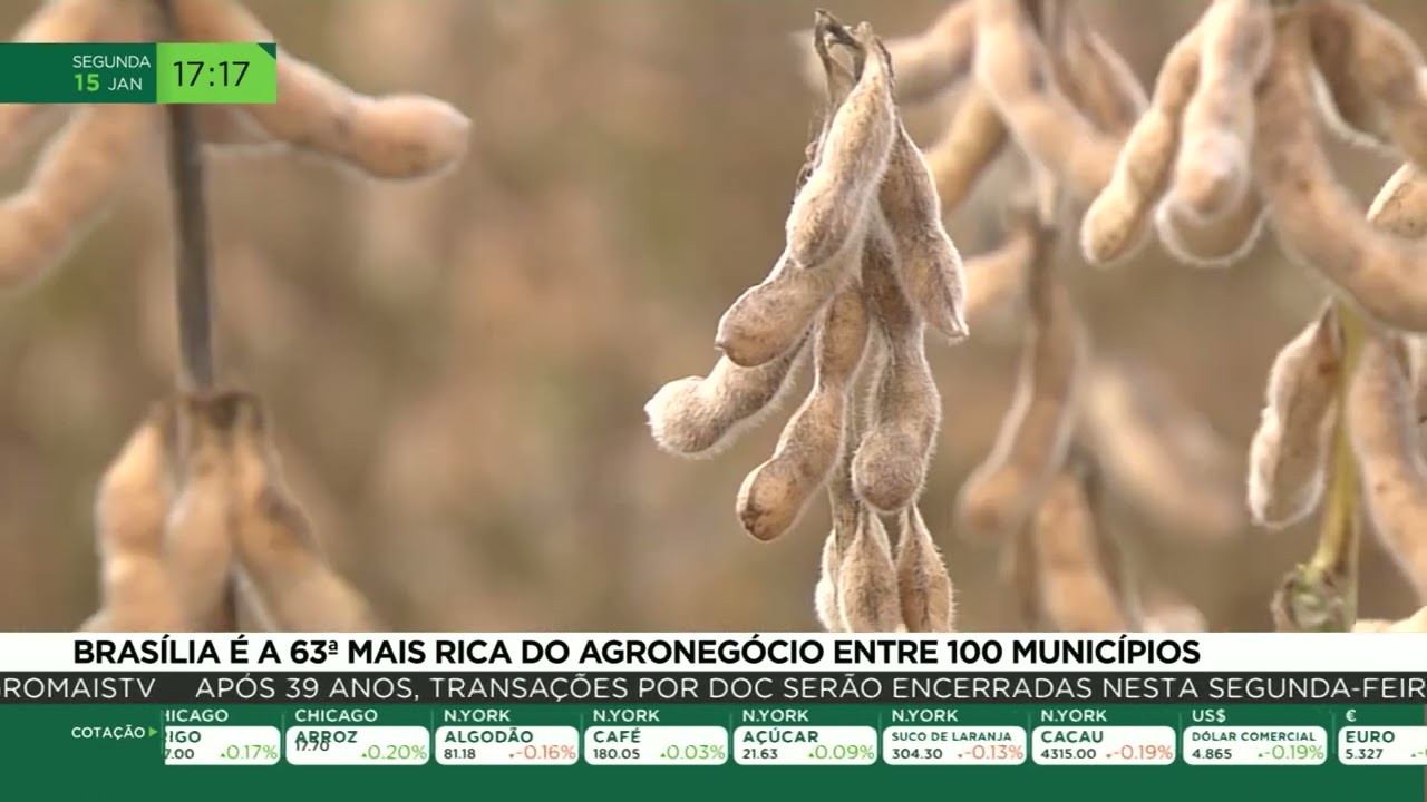 Brasília é a 63ª mais rica do agronegócio entre 100 municípios