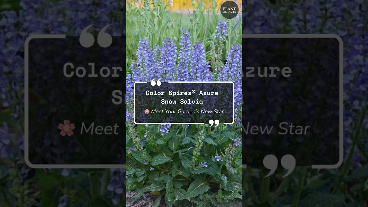 5 Rare & Hard To Find Plants